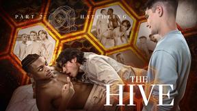Trevor Harris, Ty Santana, and Jay Wu Explore a Thrilling New World in The Hive: Hatchling