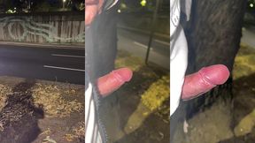 mi verga al aire libre... quieres?