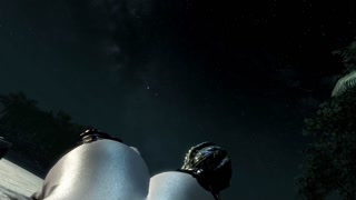 Argonian Lizard Fucks You Under The Stars FPOV Taker POV Skyrim