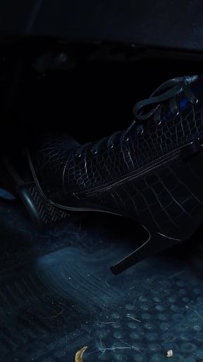 Snake Skin Boots