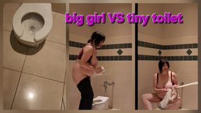 DOLLHOUSE Bathroom Invasion Extreme Giantess Toilet Crush