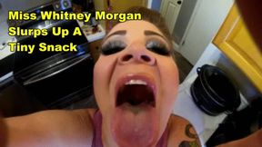 Miss Whitney Morgan Slurps Up A Tiny Snack - mp4