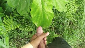 Big Cock Cumshot in Natural Garden, Outdoor Cumshot