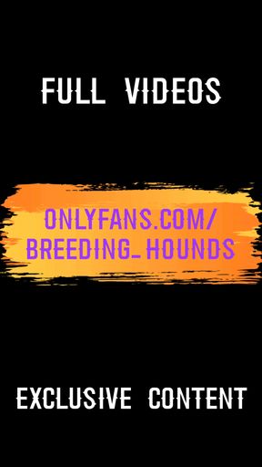 Jaw-dropping moment from "Couple gently kissing in bed while jerking off."