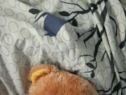 fucking a teddybear