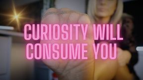 Curiosity will consume you