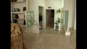 Foursome pussy fucking big cock sucking party