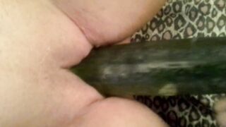 Big courgette for a REAL orgasm