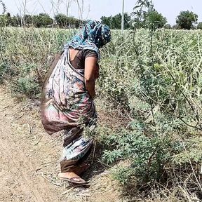 Komal was weeping in the sugarcane field, the owner secretly came and caught and fucked the house.