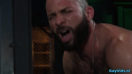 Muscle bear threesome and cumshot
