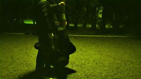 me on a leash like a dog while the traffic passes around us and anyone can run into us    priceless