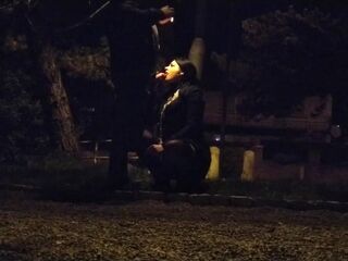 Whore deal with a big fat dick in the public park, leashed