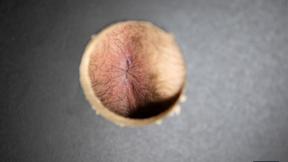 ”Every stud knows this is the bathroom where hookups happen - Malik Delgaty , Johnny Donovan , Tony D'Angelo”