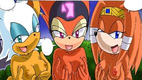 Rouge gets hammered hard as Sonic's balls bounce in every hole, a XXX cartoon parody