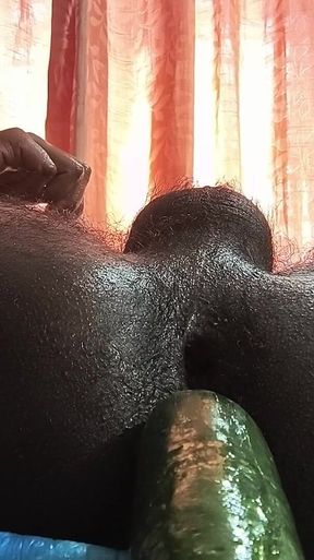 Shoving Cucumber in My Asshole