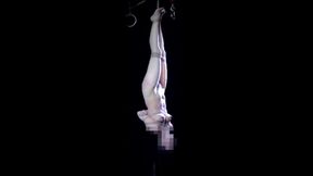 chinese bdsm rope bondage compilation