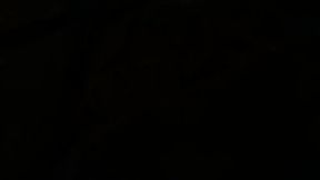 Sheena Shaw In All About Ass