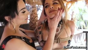 Shemale paddles and anal fucks babe