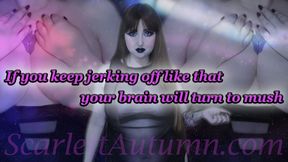 Keep jerking off like that and your brain will turn to mush - WMV SD 480p