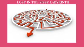 LOST IN THE SISSY LABYRINTH - The Sissification Labyrinth Mind Fuck, Sissification Training