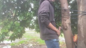 Found a dry spot to pleasure myself during the rain