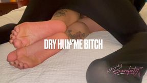 Dry humping bitch