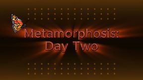 Metamorphosis: Day Two