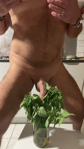Solo Fun in the Nettles