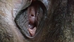 Eating Pussy