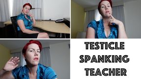 Testicle Spanking Teacher (WMV)