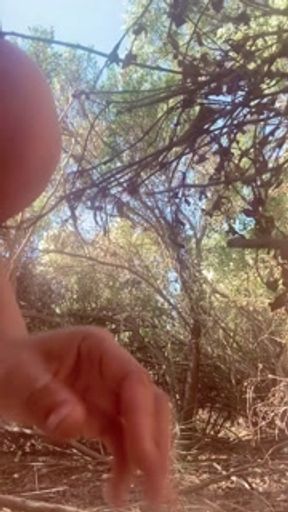 Peeing in the Park Long Before Dark