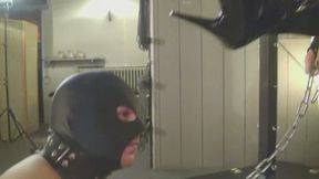underground education (mp4) part 1