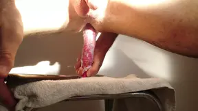 Sunset Anal Play