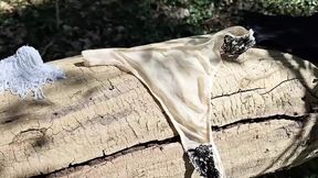 My master hid his panties in the wood
