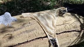 My master hid his panties in the wood