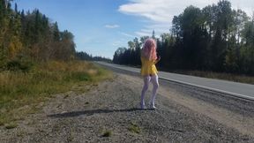 Trucker Tease 2