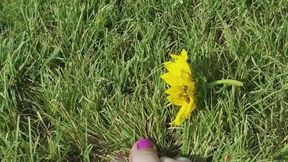 Toes playing in grass