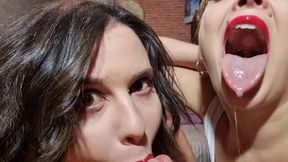 My precious collection.