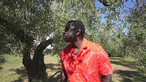 neapolitan ass fucking - inculata napoletana (wet version)