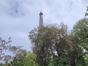 Fapping in french subway and peeing under the eiffel tower ( French GAY porn exhib Paris )
