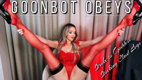 Goon Bot Obeys and Strokes to Goddess' Stocking Clad Legs
