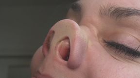 part from Custom The perfection of the interior of the nose