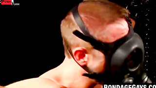 Bald Bondage Submissive Endures Painful BDSM Session For His Mistress' Pleasure