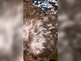 Parent Teacher Conference Got Creamy ????