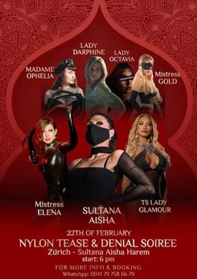 Harem Nylon Femdom Party - Part 2