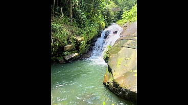 TS Angelique Monroe - A horny morning in the rainforest - long version