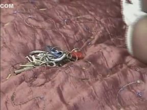 Selfbondage gone wrong