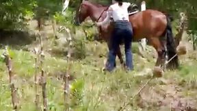 On horse:3