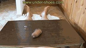 Miss Ambre extreme cock and balls destruction under flat shoes (EXTREME VIDEO)