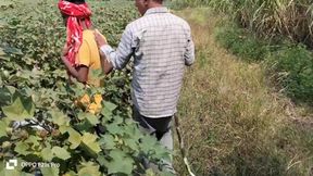 Indian Threesome Gay Field Movie A Unique Story Of A Farming Farmer And A Biker In Hindi With City Boy And Sugar Cane